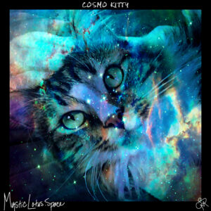 cosmo kitty artwork by mysticlotus.space