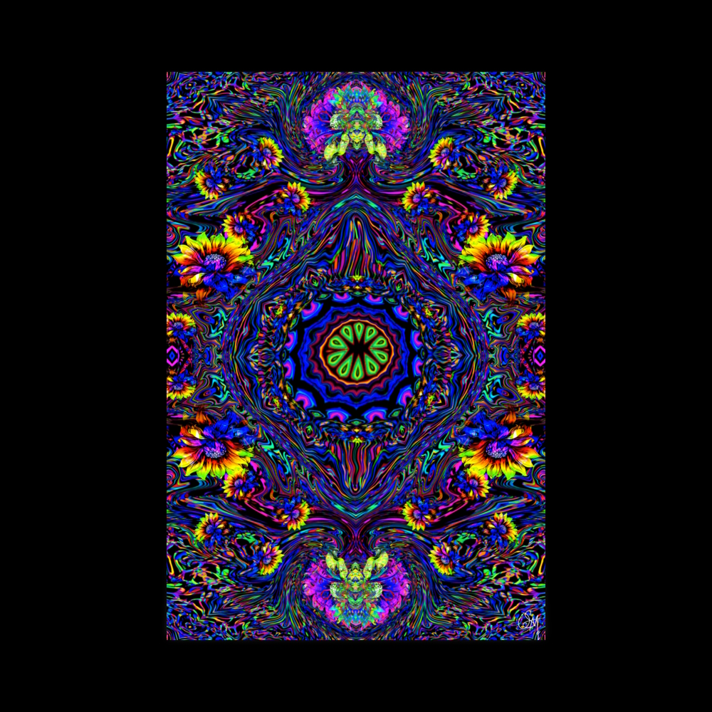 enhanced matte paper poster (in) 24x36 transparent Sundays (12)