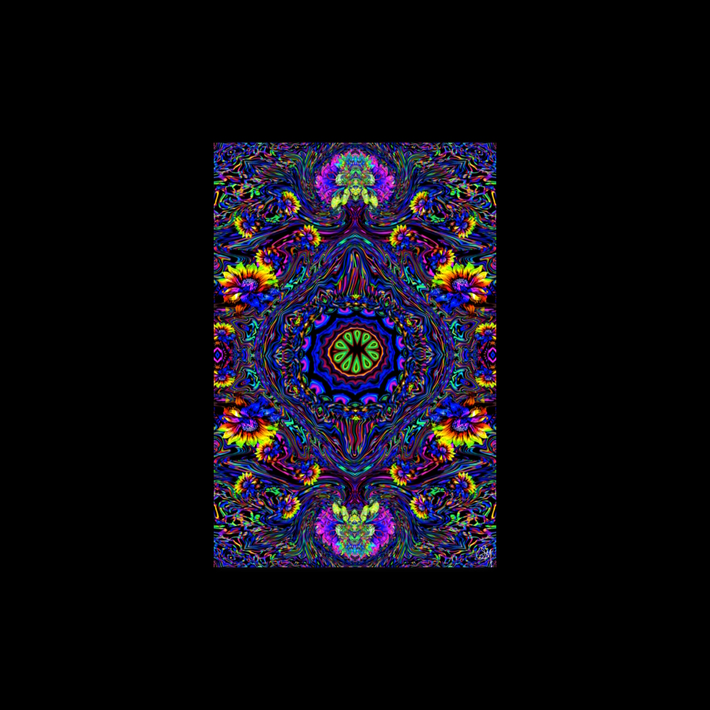 enhanced matte paper poster (in) 24x36 transparent Sundays (6)